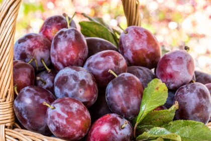 Pretul kilogramului de prune in pietele din Romania De ce nu se inghesuie oamenii sa le cumpere