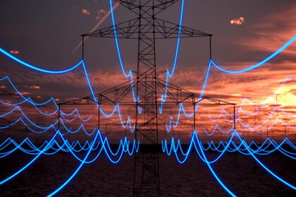 Romania nu furnizeaza energie gratuita Ucrainei si Republicii Moldova Busoi In cazul unei crize