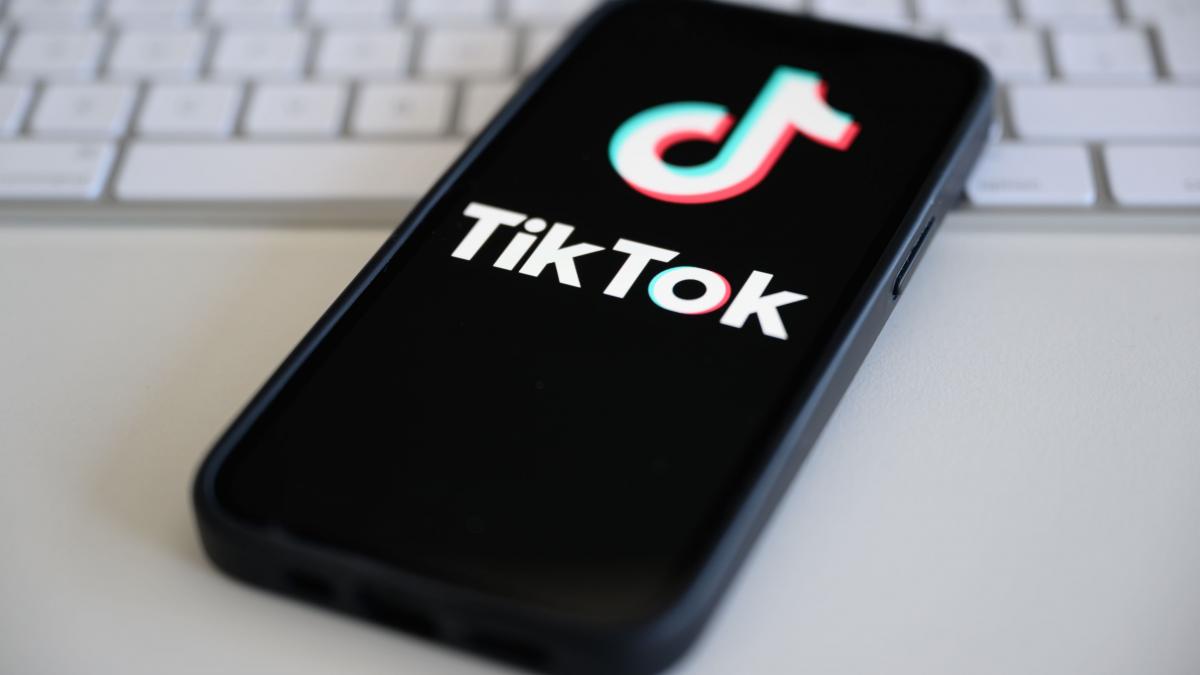 USR contesta interzicerea TikTok propusa de colegii de la PNL 1