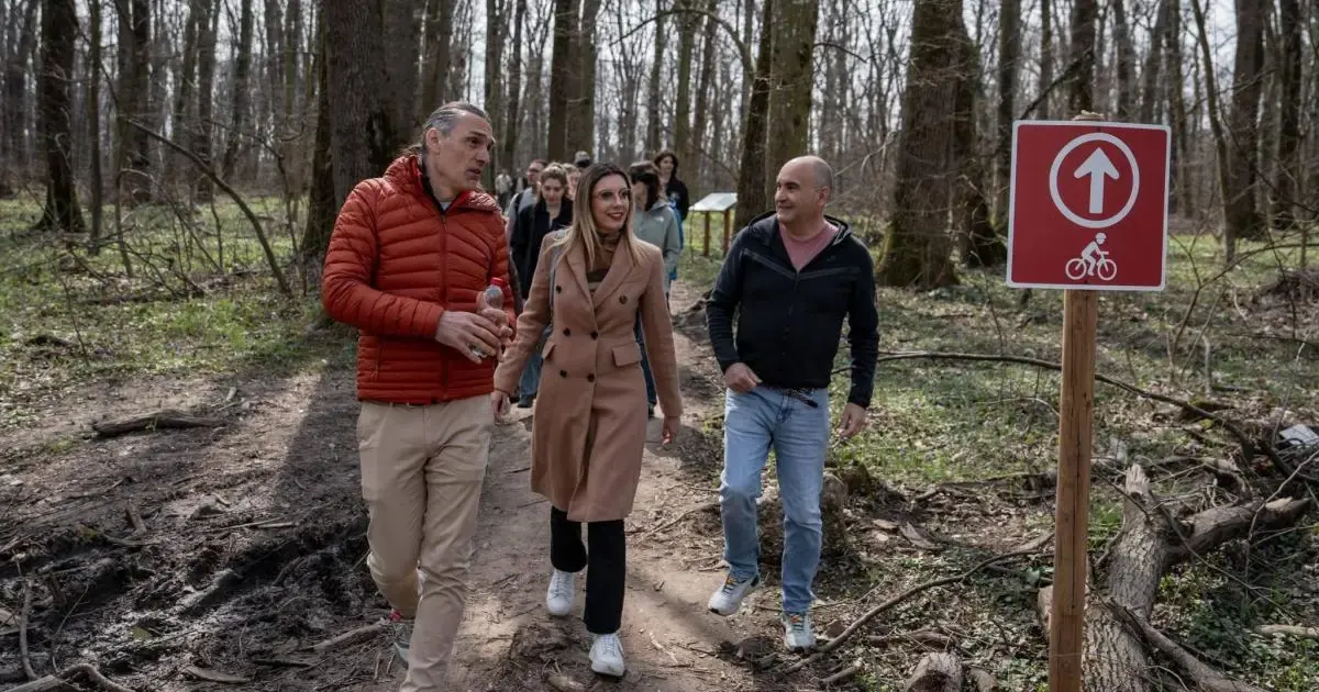 Diana Buzoianu acuză Romsilva că simulează protecția pădurilor în scandalul Băneasa
